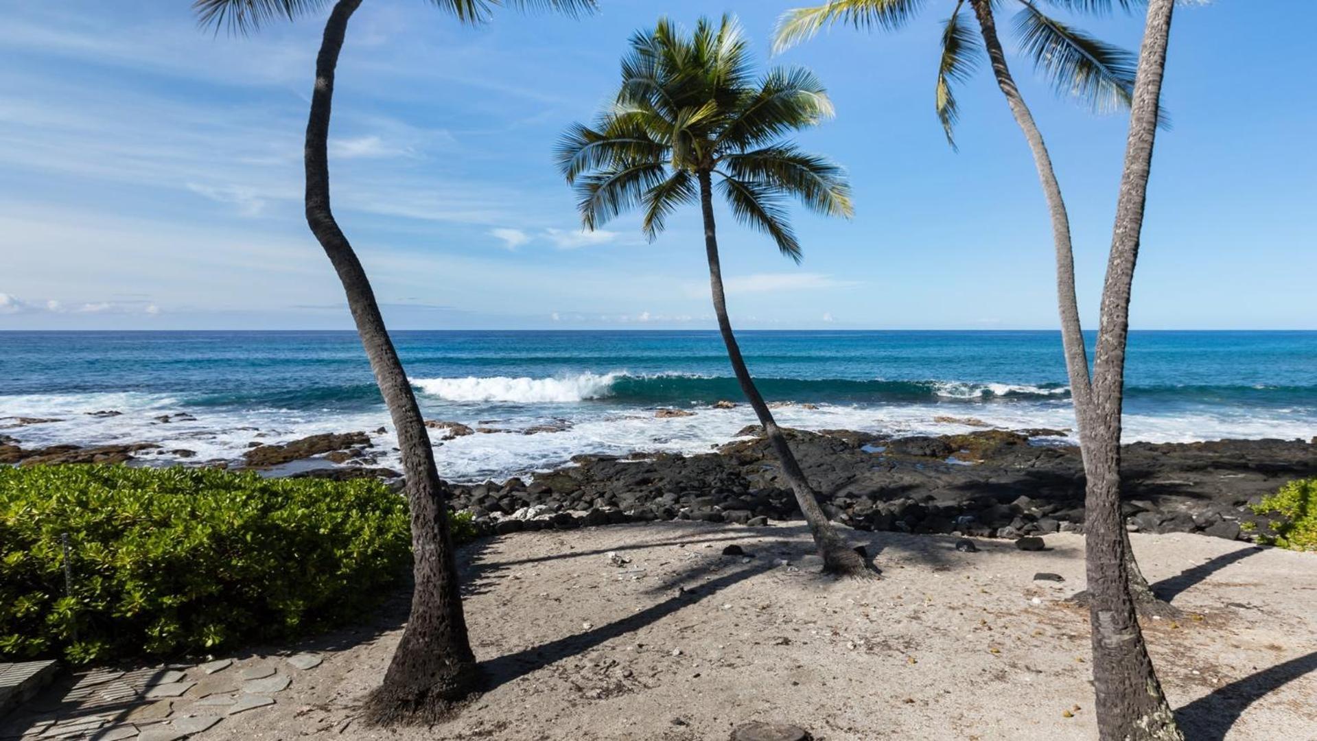 Appartement Kona Nalu 103 à Kailua-Kona Extérieur photo